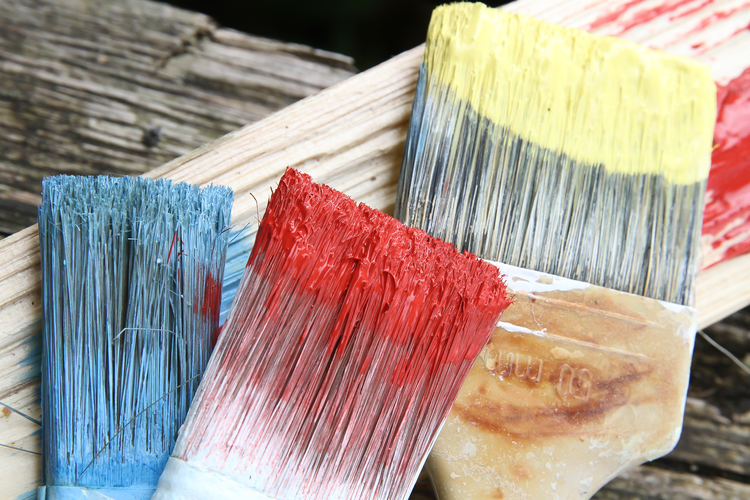 Maalipensseleitä maalissa