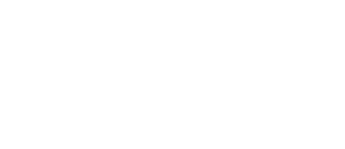 Lieksan Kehitys Oy LieKe logo valkoisena
