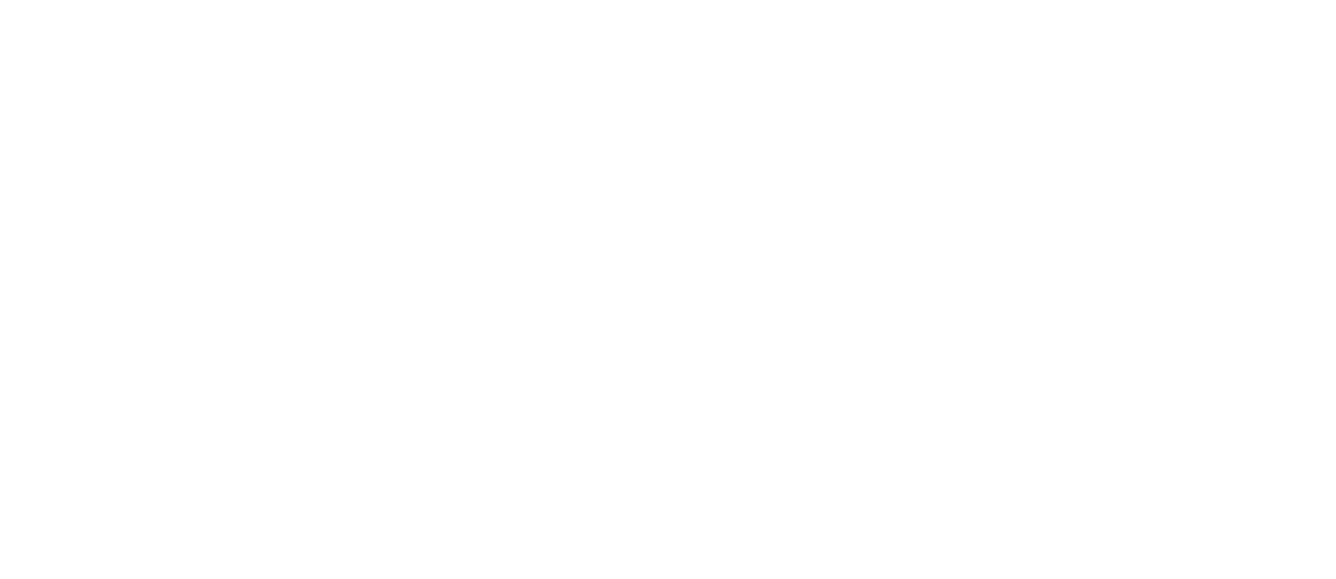 Lieksan Kiinteistöt Oy logo valkoisena